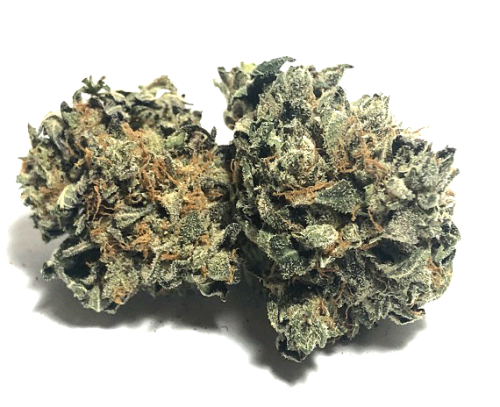 Green Dream - Hybrid