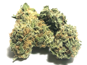 Rockstar - Indica Dominant Hybrid