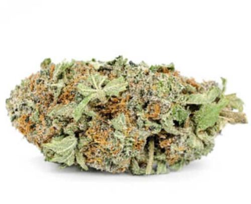 Haute Health Trainwreck Sativa