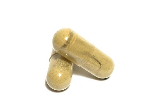 Haute Health Goldens Teacher Mushroom Capsules