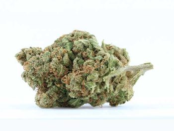 Haute Health Skywalker OG 7 Dollar Grams