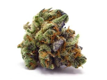 Haute Health Kosher Kush Indica