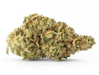 Haute Health Pineapple Cookies Indica Dominant Hybrid