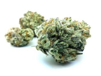 Haute Health Green Crack 8 Dollar Grams Cannabis Flowers