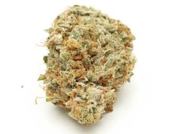 Haute Health Kali Mist 8 Dollar Grams