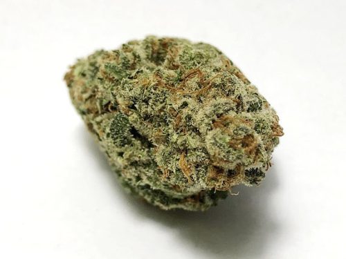 Raspberry Hashplant (5 Star) - Indica Dominant Hybrid