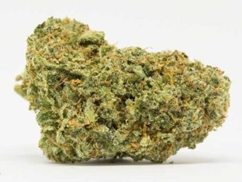 Haute Health Lamb's Bread Sativa Dominant Hybrid 11 Dollar Grams