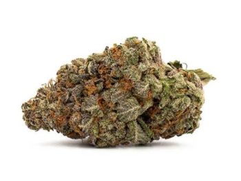 Haute Health Mango Kush Indica Dominant Hybrid 11 Dollar Grams