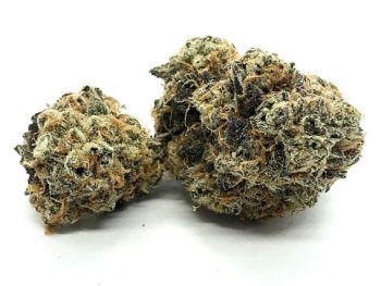 Cherry Reserve - Indica