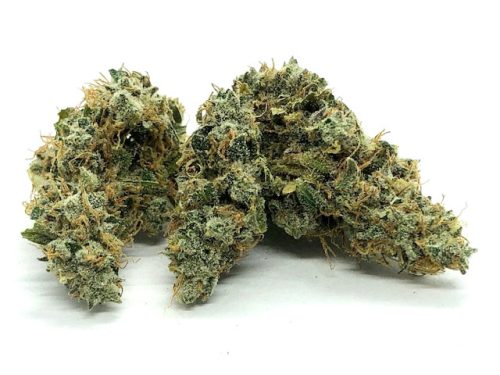 Citrus Skunk - Sativa Dominant Hybrid