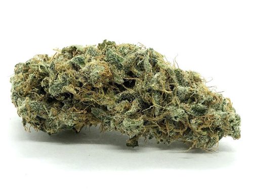 Citrus Skunk - Sativa Dominant Hybrid