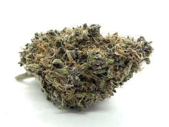 Sangria - Indica Dominant Hybrid