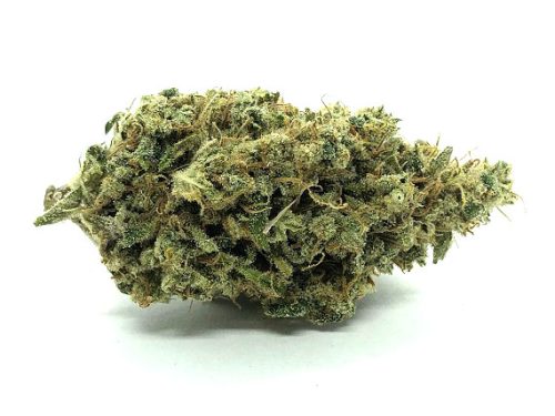 Silver Haze - Sativa Dominant Hybrid