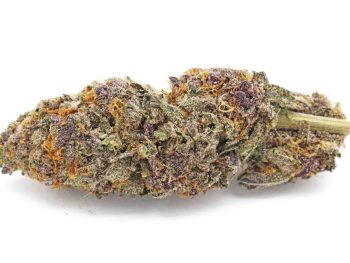 Purple Kush