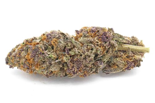 Purple Kush