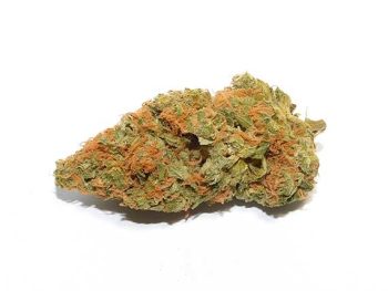 Orange Creamsicle - Sativa Dominant Hybrid