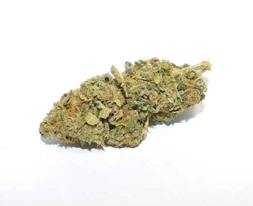 Sour Cookies - Sativa Dominant Hybrid