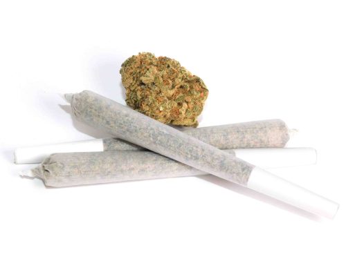 New York Power Diesel AAA Pre Roll Joint