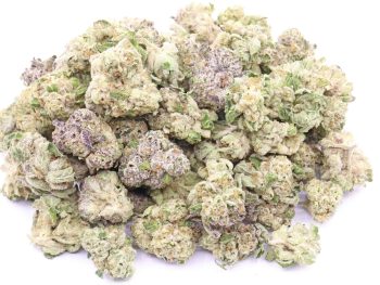 Thin Mint Girl Scout Cookies