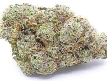 Jet Fuel Gelato