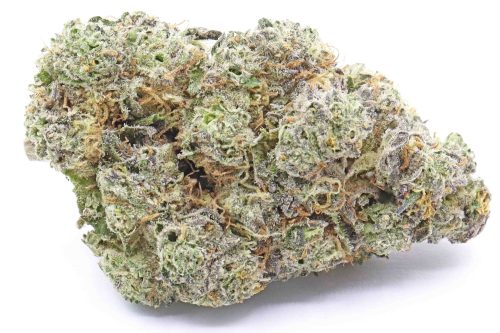 Jet Fuel Gelato